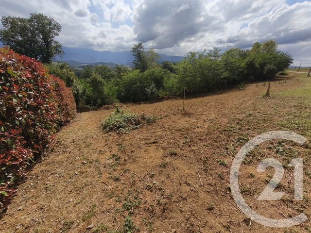 terrain à vendre - 1869.0 m2 - TILHOUSE - 65 - MIDI-PYRENEES - Century 21 Gm Immobilier
