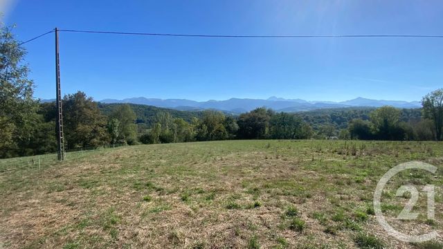 terrain à vendre - 3000.0 m2 - MAUVEZIN - 65 - MIDI-PYRENEES - Century 21 Gm Immobilier