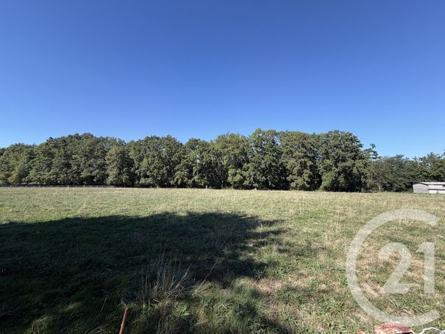 maison à vendre - 9 pièces - 187.86 m2 - ST LAURENT DE NESTE - 65 - MIDI-PYRENEES - Century 21 Gm Immobilier