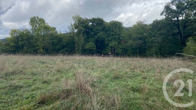 terrain à vendre - 6977.0 m2 - UGLAS - 65 - MIDI-PYRENEES - Century 21 Gm Immobilier