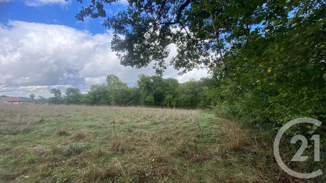 terrain à vendre - 6977.0 m2 - UGLAS - 65 - MIDI-PYRENEES - Century 21 Gm Immobilier