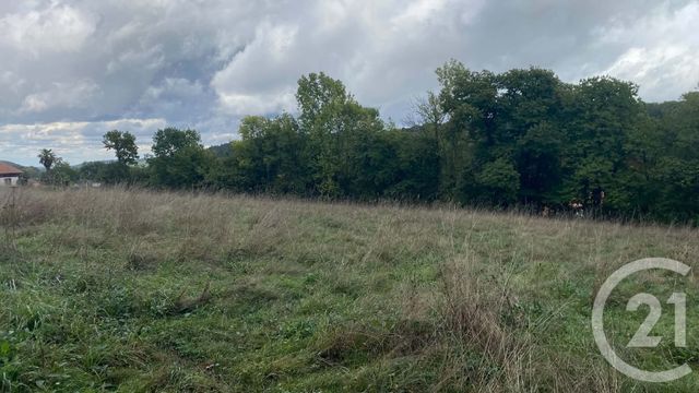 terrain à vendre - 6977.0 m2 - UGLAS - 65 - MIDI-PYRENEES - Century 21 Gm Immobilier