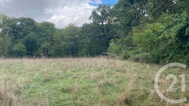 terrain à vendre - 6977.0 m2 - UGLAS - 65 - MIDI-PYRENEES - Century 21 Gm Immobilier