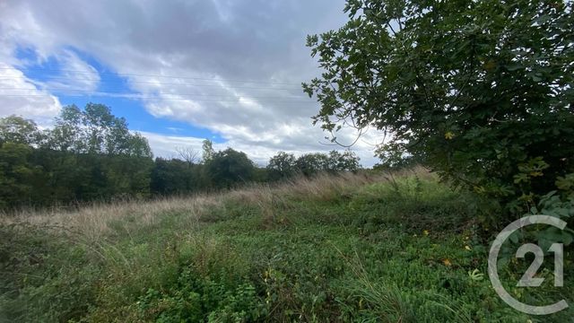 terrain à vendre - 6977.0 m2 - UGLAS - 65 - MIDI-PYRENEES - Century 21 Gm Immobilier
