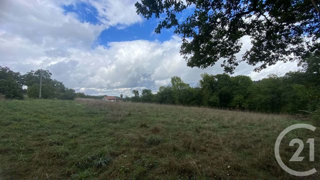 terrain à vendre - 6977.0 m2 - UGLAS - 65 - MIDI-PYRENEES - Century 21 Gm Immobilier
