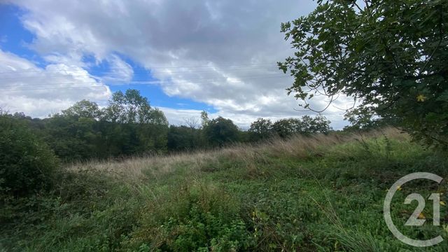terrain à vendre - 6977.0 m2 - UGLAS - 65 - MIDI-PYRENEES - Century 21 Gm Immobilier